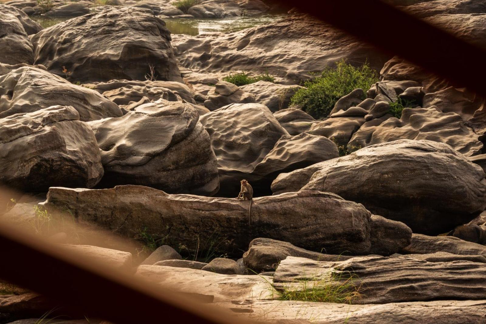 ホテル Leo Woods Hampi River View エクステリア 写真